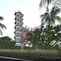 Ancient Chinese Tower Surrounded by Palm Trees Pink Flowers and Green Plants Under Blue Sky