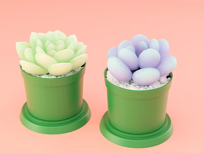 Succulent Potted Plants Green Lotus and Purple Egg Shaped in Green Pots on Pink Background 3d model