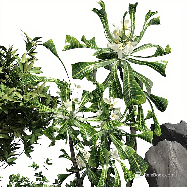Lush Green Plants With White Flowers And Rocks 3d model 