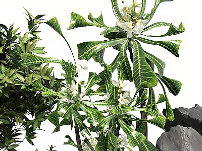 Lush Green Plants With White Flowers And Rocks 3d model