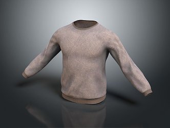 Modern Hoodie Casual Wear Hoodie 3d model