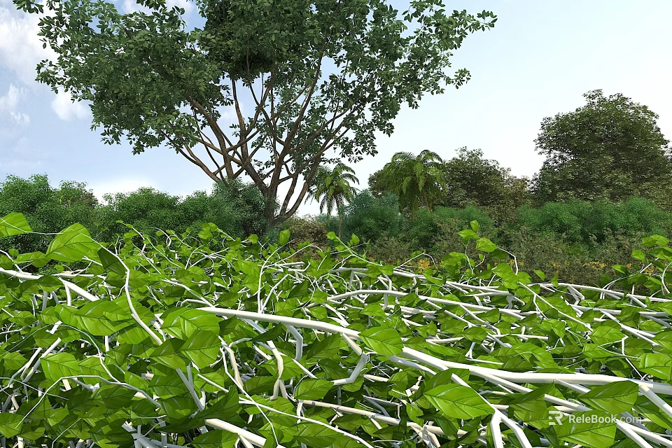 Crops with Lush Green Leaves and White Stems Surrounded by Trees Under Blue Sky 3d model 