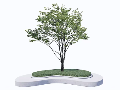 Simple Modern Tree Pit Design With Green Grass And Single Tree On White Curved Base 3d model