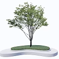 Simple Modern Tree Pit Design With Green Grass And Single Tree On White Curved Base