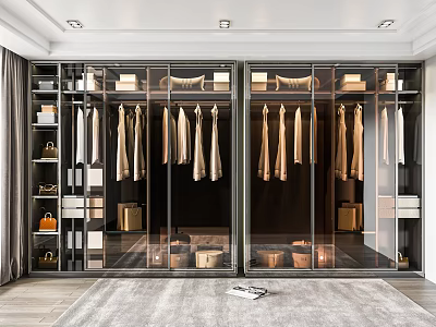 Modern Wardrobe Interior Design With Glass Doors Hanging Rails And Storage Drawers 3d model