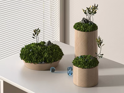 Modern Decorative Bonsai Planters On White Table With Window Blinds Various Shapes Green Foliage 3d model