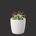 Stylish Potted Bonsai Cactus with Green Body and Red Yellow Spines in White Pot