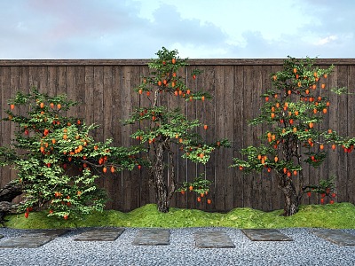 Courtyard Old Pile Fruit Tree Orange Tree Stone Micro Terrain Ting Step model