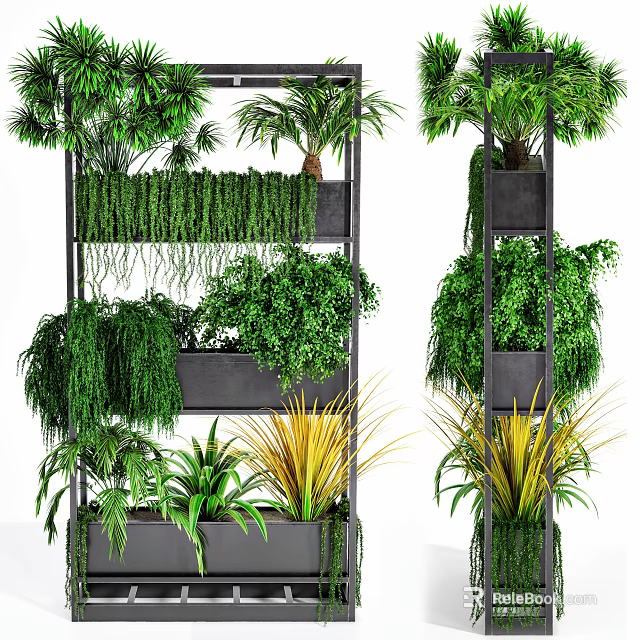 Bonsai Potted Plants On Multi tiered Shelf With Various Greenery And Decorative Black Pots 3d model 