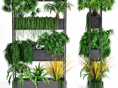 Bonsai Potted Plants On Multi tiered Shelf With Various Greenery And Decorative Black Pots 3d model
