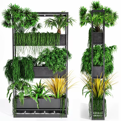 Bonsai Potted Plants On Multi tiered Shelf With Various Greenery And Decorative Black Pots 3d model