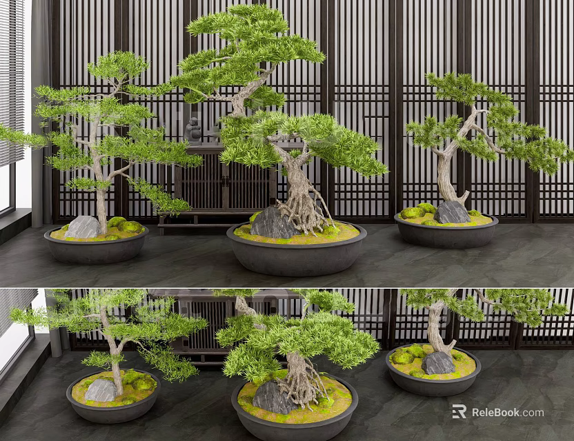 Multiple Bonsai Trees In Ceramic Pots With Decorative Stones And Wooden Screen Background 3d model 