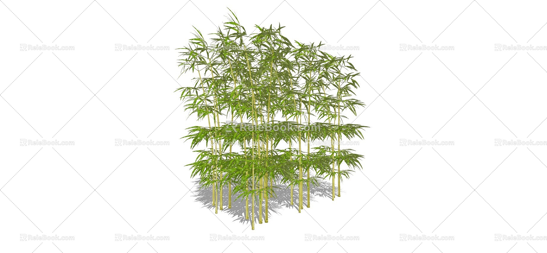 Bamboo 3d model