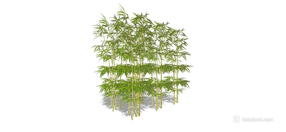 Natural Green Bamboo Grove Scenery with Tall Stems and Lush Leaves 3d model 