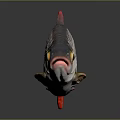 Silver Red Finned Fish With Shiny Body Yellow Eyes And Dark Background Reflection