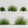 Modern grass combination 3d model