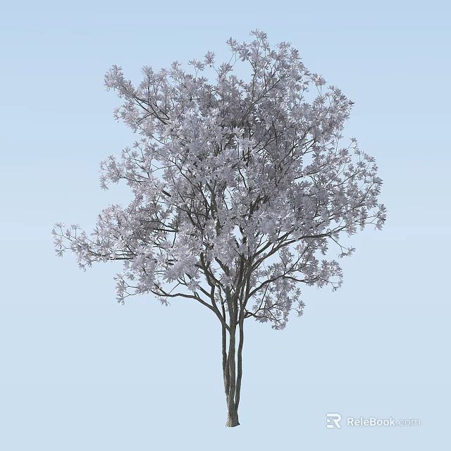 Blooming Arbor Tree With Pink Flowers Slender Trunks And Lush Branches Against Light Blue Sky 3d model 