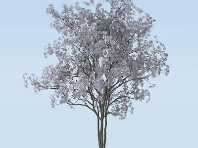 Blooming Arbor Tree With Pink Flowers Slender Trunks And Lush Branches Against Light Blue Sky 3d model