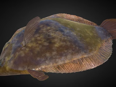 Delicious Fresh Brown Green Spotted Fish With Textured Body And Fins 3d model