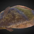 Delicious Fresh Brown Green Spotted Fish With Textured Body And Fins