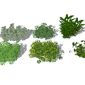 Modern shrubs 3d model