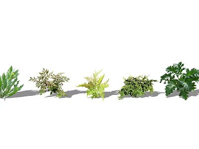 Diverse Ground Cover Plants With Lush Green Foliage And Varied Leaf Shapes 3d model