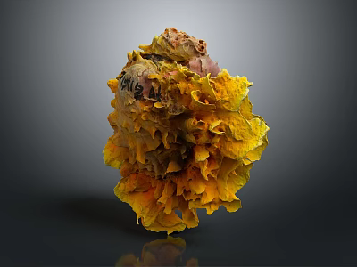 Organ And Hair Art Piece With Yellow Brown Fluffy Textured Irregular Structure 3d model