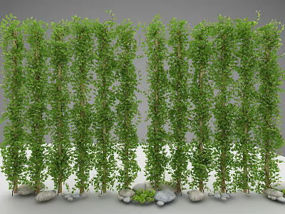 Green Vines Forming Decorative Screen Structure With Lush Foliage And Stones At Bottom 3d model