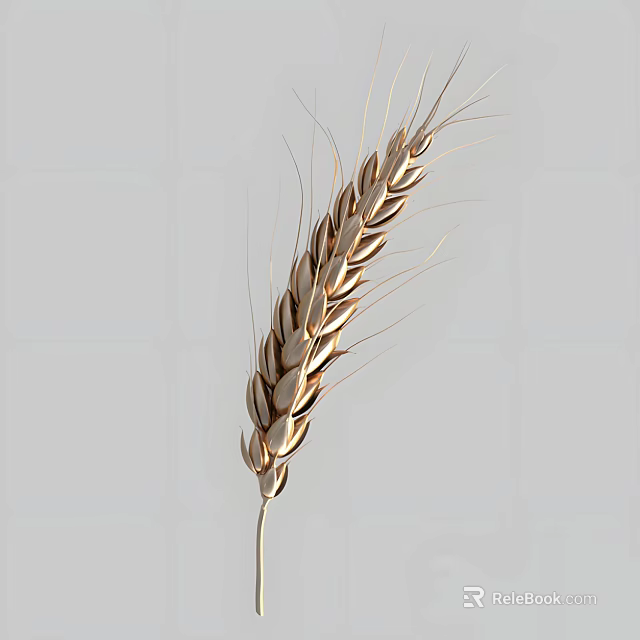 Golden Ripe Wheat Ear Close Up View Of Agricultural Crop Texture 3d model 