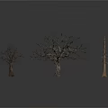 Three Trees In Different Sizes Featuring Two Leafless And One Green Pine Tree 3d model