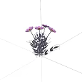 Beautiful Pink And Purple Flowers With Green Leaves On Black Background