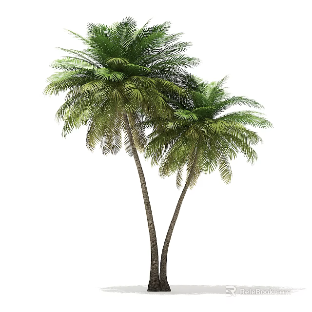 Tall Palm Trees with Lush Green Fronds and Strong Straight Trunks in Natural Tropical Setting 3d model 