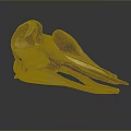 Parrot Skull Hawk Skull Bird Skull Bird Fossil Life Supplies 3d model