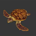 Sea Turtle With Red Orange Shell And Patterned Flippers In Swimming Pose Against Dark Background 3d model