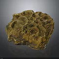 Natural Honeybee Honeycomb With Brownish Yellow Color And Intricate Hexagonal Cells