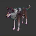 Realistic Wolf 3D Model Showcasing Detailed Fur and White Paws in Standing Pose