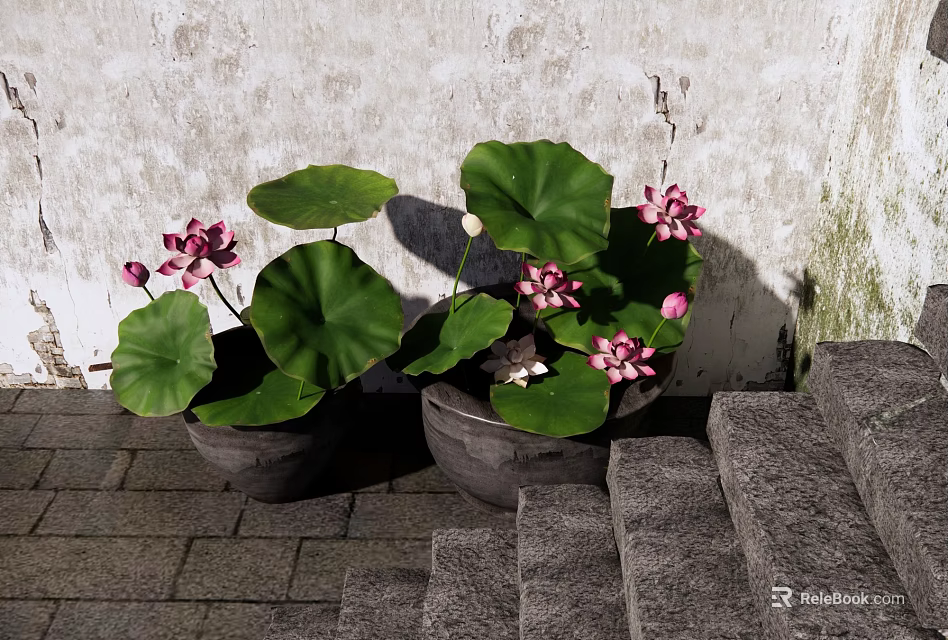 Traditional Garden Landscape with Pink Lotus Flowers Green Leaves and Stone Steps 3d model 