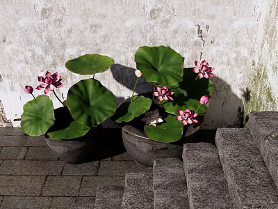 Traditional Garden Landscape with Pink Lotus Flowers Green Leaves and Stone Steps 3d model
