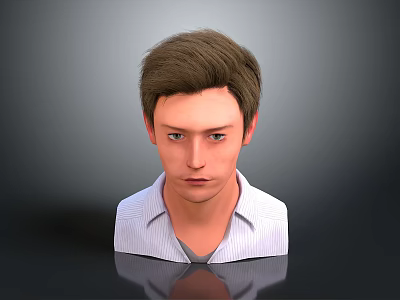 Realistic 3D Model of Man in Striped Shirt with Upper Body and Gray Background Reflection 3d model