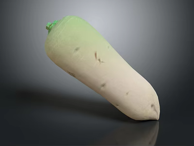 Fresh Daikon Radish With Green Top And White Smooth Body On Dark Background 3d model