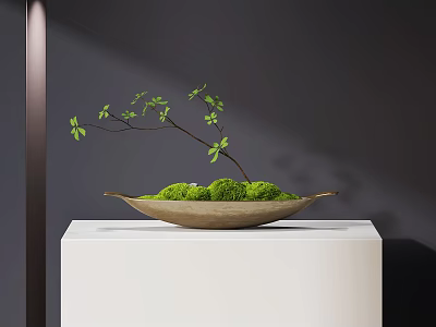 Bonsai Plant With Green Moss And Small Tree Branch In Ceramic Tray On White Stand 3d model