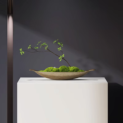 Bonsai Plant With Green Moss And Small Tree Branch In Ceramic Tray On White Stand 3d model