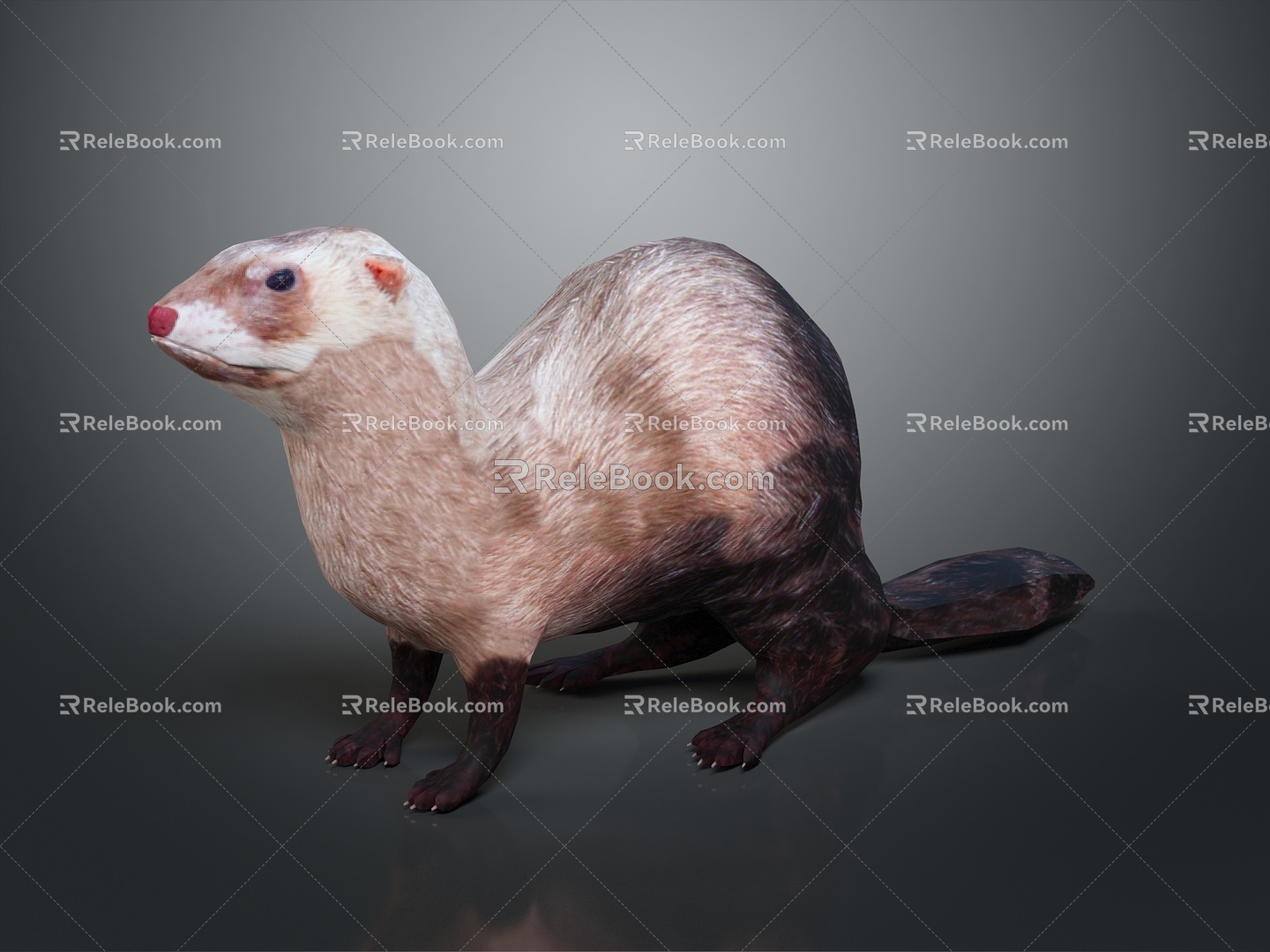 Beaver Otter Cartoon Otter Fox Cartoon Fox Little Fox Item 3d model