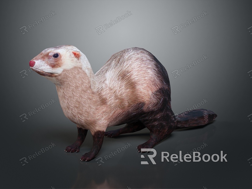 Beaver Otter Cartoon Otter Fox Cartoon Fox Little Fox Item model