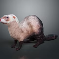 Soft Plush Ferret Stuffed Animal Toy With Light And Dark Fur Design