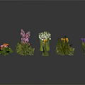 Colorful Various Flowers And Green Plants Arranged In Circle With Different Varieties