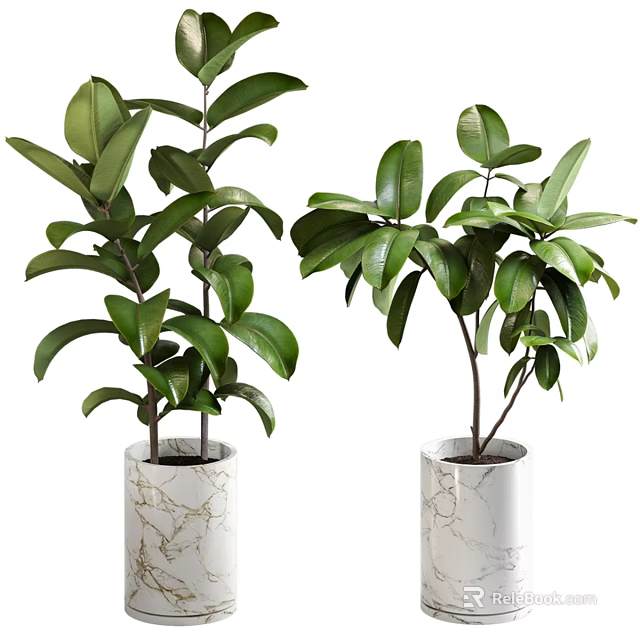 Lush Green Potted Plants in White Crackle Ceramic Pots with Vibrant Foliage 3d model 