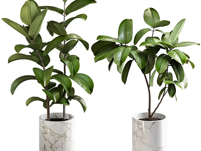 Lush Green Potted Plants in White Crackle Ceramic Pots with Vibrant Foliage 3d model
