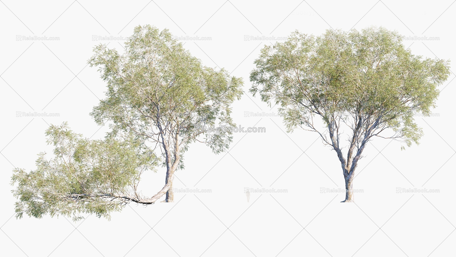 Plants Trees Arbor 3d model