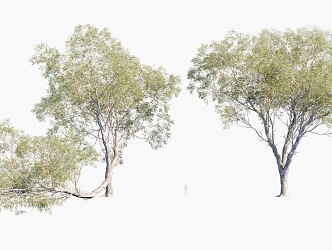 Plants Trees Arbor 3d model